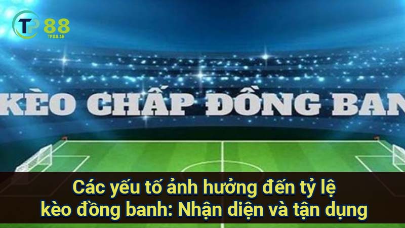 Phân tích kèo đồng banh: Bí quyết thắng lớn từ chuyên gia 4 cac-yeu-to-anh-huong-den-ty-le-keo-dong-banh:-nhan-dien-va-tan-dung