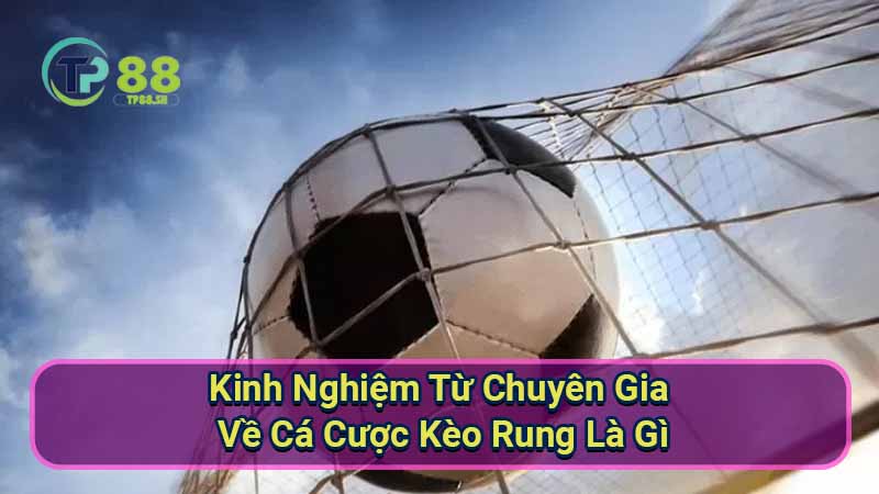 Kèo Rung Là Gì? Hướng Dẫn Cá Cược Kèo Rung Chi Tiết 4 kinh-nghiem-tu-chuyen-gia-ve-ca-cuoc-keo-rung-la-gi