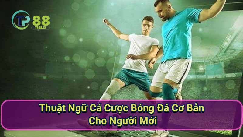 Thuật Ngữ Cá Cược Bóng Đá Cơ Bản Cho Người Mới 7 thuat-ngu-ca-cuoc-bong-da