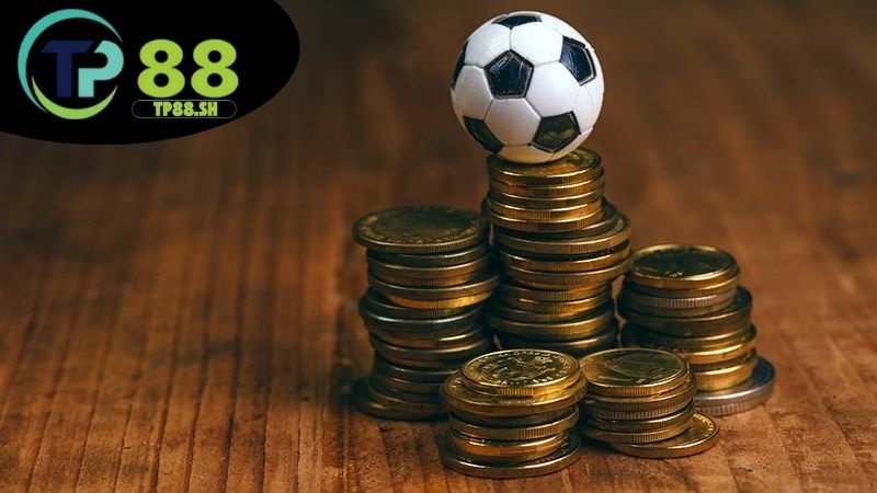 Cá cược thể thao TP88 - Tỷ lệ kèo hấp dẫn thắng lớn mỗi ngày 3 Ưu điểm cá cược tại TP88