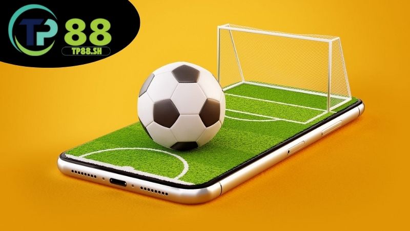Cá cược thể thao TP88 - Tỷ lệ kèo hấp dẫn thắng lớn mỗi ngày 4 Mẹo cá cược thể thao hiệu quả