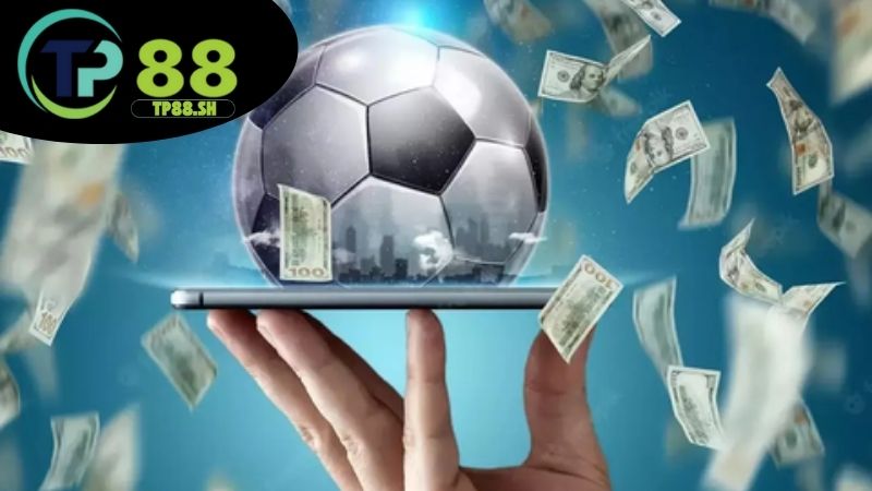 ca-do-bong-da-tp88