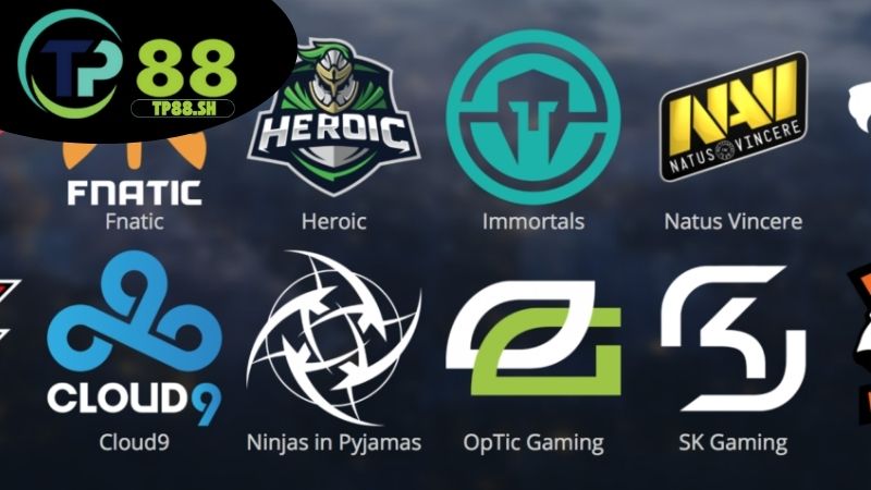 Mẹo cược Esports hiệu quả