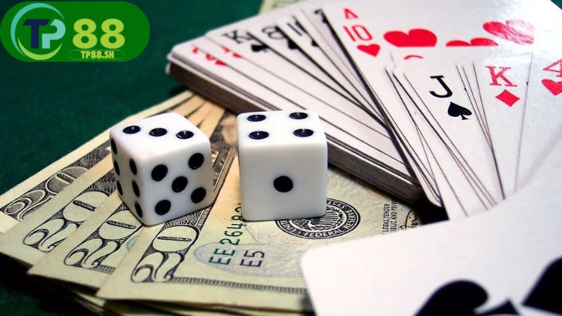 Nhà cái D88 giao diện mượt, chơi ổn định mọi lúc