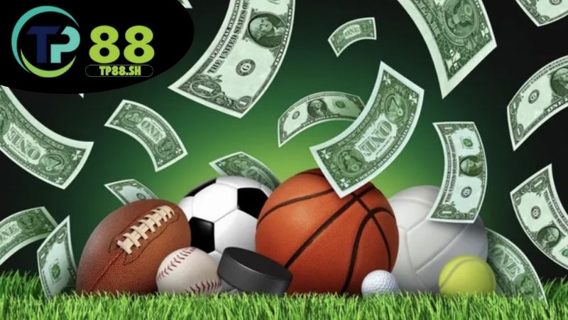 Giới thiệu soi kèo bóng đá TP88